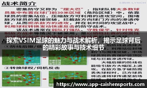 探索VSIM足球的魅力与战术解析，揭示足球背后的精彩故事与技术细节
